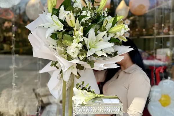 Begonia Çiçek Evi Çiçekçi - Çiçekçi - Kocaeli Başiskele