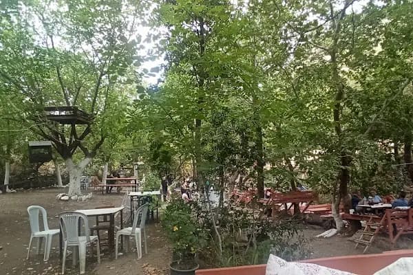 Dere Alabalık - Balık Restoranı - İzmir Bayındır