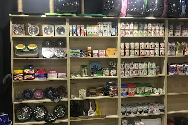 Rayfin Akvaryum Petshop - Evcil hayvan mağazası - İstanbul Bahçelievler