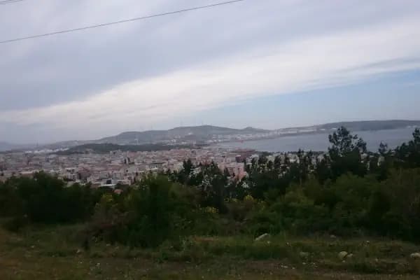 Aliağa Trafik Hatıra Ormanı - Ulusal Orman - İzmir Aliağa