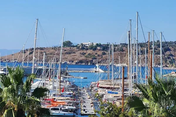 By Muhtar Otel Bodrum - Otel - Muğla Akçaalan Mahallesi