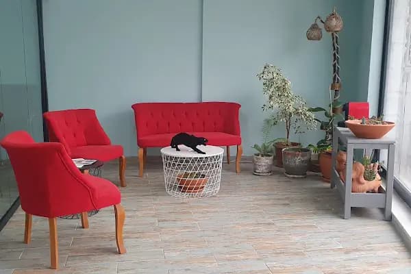 Armoni Veteriner Kliniği - Veteriner - Bursa Nilüfer