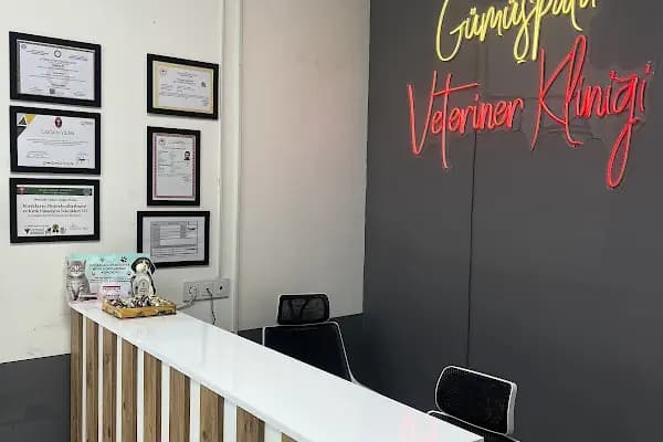Gümüşpala Veteriner kliniği - Veteriner - İzmir Bayraklı
