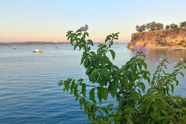 Güney Marina - Balık Restoranı - Adana Çukurova