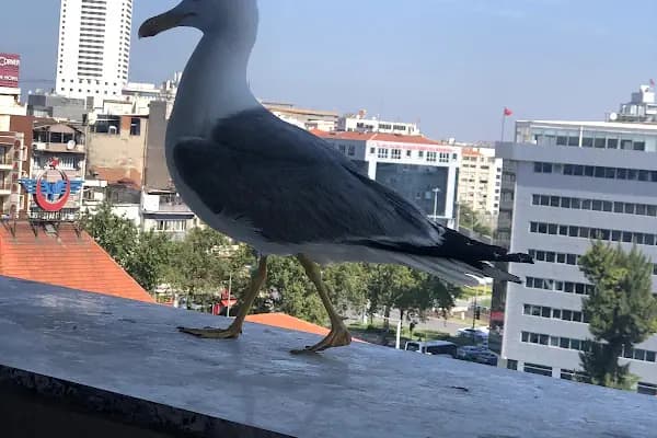 Life Corner Hotel - Otel - İzmir Konak