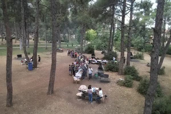 Çamlık Orman İçi Dinlenme Yeri - Park - Denizli Acıpayam