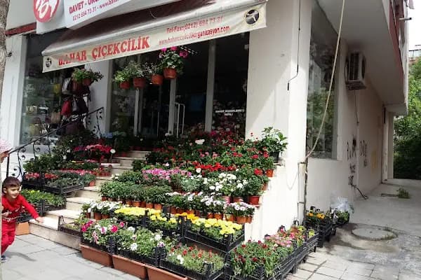 Bahar Çiçekçilik - Çiçekçi - İstanbul Avcılar