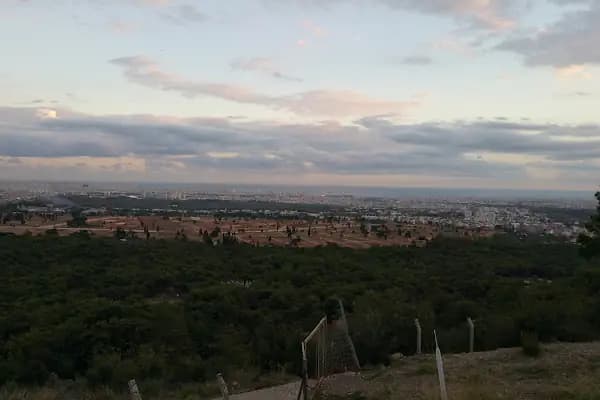 Markka Genetik - Üretici - Antalya Döşemealtı