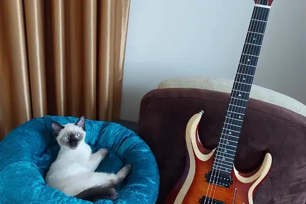 Öner Yavuz Müzik Aletleri - Müzik aletleri mağazası - İstanbul Şişli