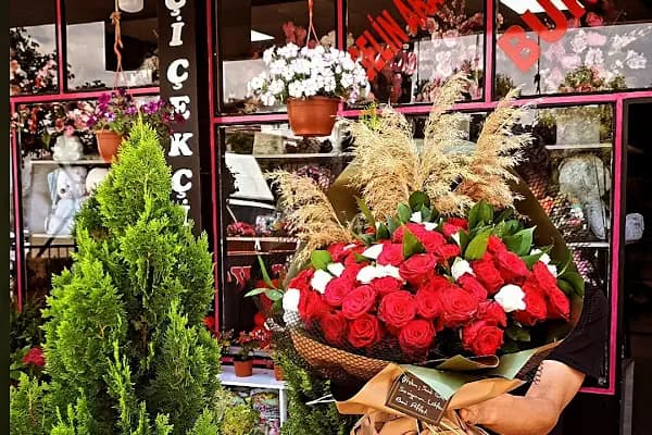 Etimesgut Çiçekçi - Çiçekçi - Ankara Ayaş