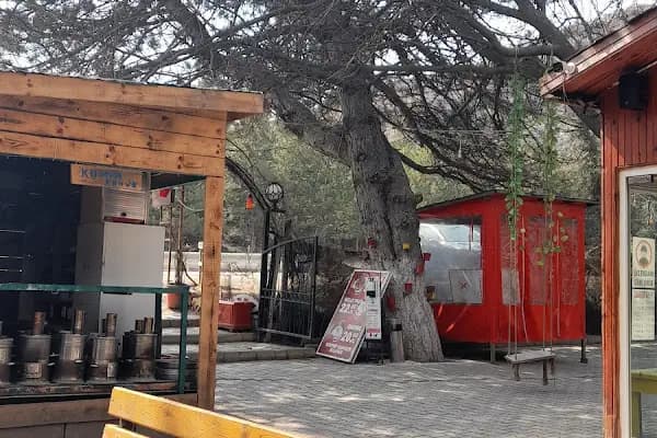 Şark Kır Bahçesi Kahvaltı Mangal - Restoran - Ankara Sincan