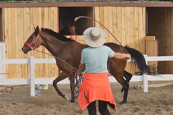 Kazdağları Binicilik Atlı Sporlar Kulübü Eğitim Merkezi - Binicilik Kulübü - Balıkesir Edremit