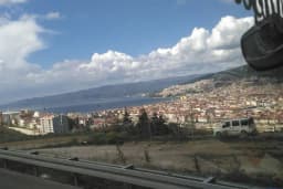 Gemlik Zeytin Hali