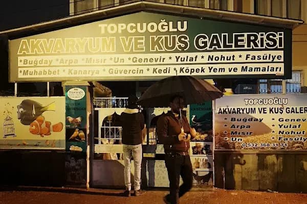 Topçuoğlu Akvaryum Ve Kuş Galerisi - Evcil hayvan mağazası - Konya Selçuklu
