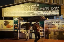 Topçuoğlu Akvaryum Ve Kuş Galerisi