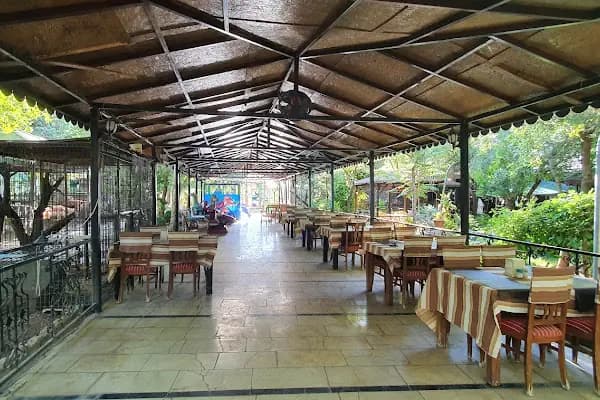 Doktorun Bahçesi - Restoran - Malatya Akçadağ