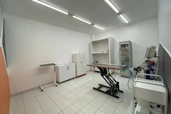 LOTUSVET VETERİNER KLİNİĞİ - Veteriner - Konya Selçuklu