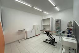 LOTUSVET VETERİNER KLİNİĞİ