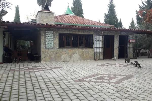 Seyit Ahmet Türbesi - Bitki Uzmanı - Manisa Yunusemre