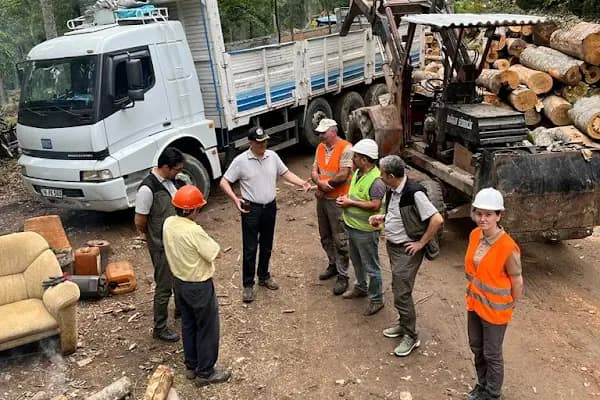 Oylat OİŞ Alaçam Orman Deposu - Ormancılık Hizmetleri - Bursa Yıldırım