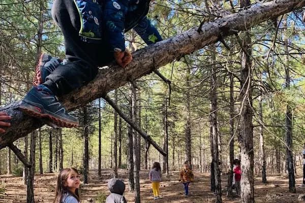 Sevgi Sokağı Orman Okulu - Anaokulu - Konya Selçuklu