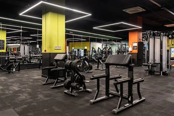 MACFit Sakarya Agora - Spor salonu - Sakarya Serdivan