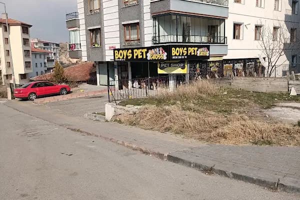 Boys Petgross - Evcil hayvan mağazası - Ankara Altındağ
