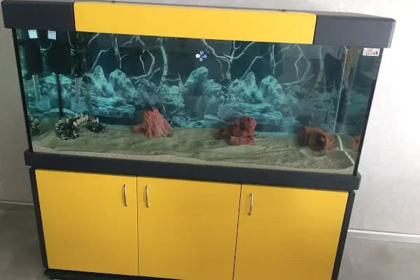 Nesil Akvaryum Petshop - Evcil hayvan mağazası - Konya Selçuklu