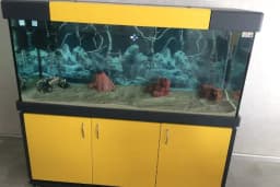 Nesil Akvaryum Petshop