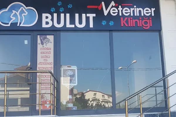 BULUT Veteriner Kliniği - Veteriner - Kocaeli Başiskele