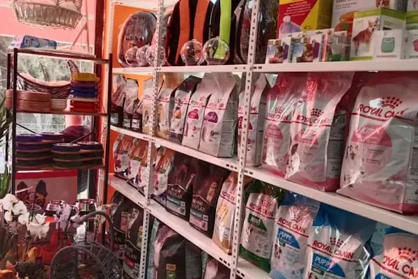 Koala Pet Shop - Evcil hayvan mağazası - İzmir Bayraklı