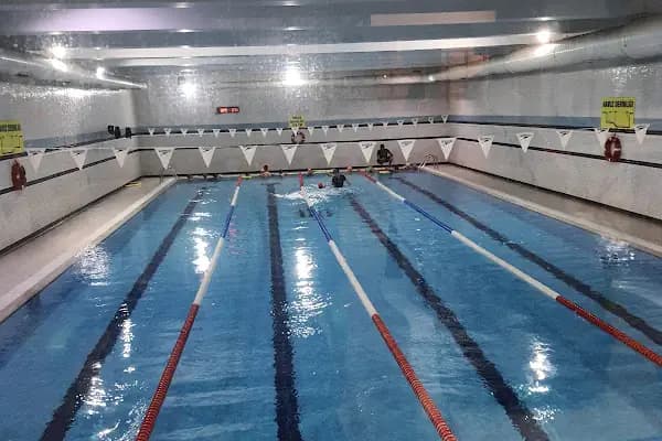 Avcilarolimpik Yüzme Havuzu - Spor salonu - İstanbul Avcılar