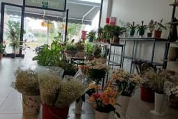 MELİLA FLOWERS