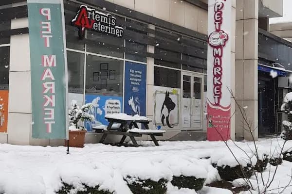 Flamingo Evcil - Evcil hayvan mağazası - Bursa Osmangazi
