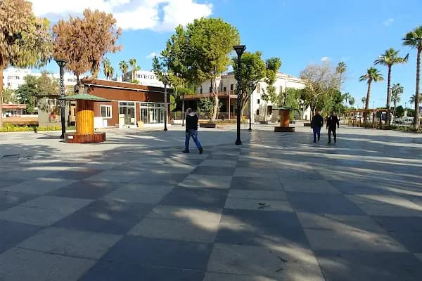 Devlet Opera Ve Bale - Devlet Dairesi - Mersin Akdeniz