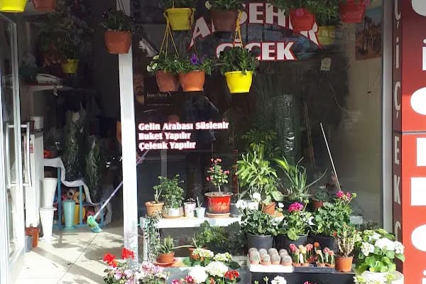 Akşehir çiçekçilik - Çiçekçi - Konya Akşehir
