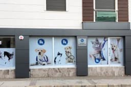 Gaziemir Veteriner Kliniği