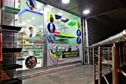 Gagalı Petshop