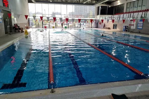 Erdal İnönü Kapalı Yüzme Havuzu - Kapalı yüzme havuzu - Ankara Çankaya
