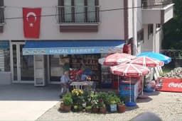 Hazal Market