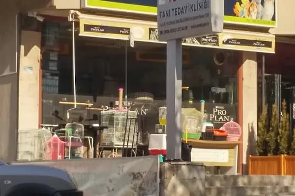 Hobby Akvaryum - Evcil hayvan mağazası - Ankara Kahramankazan