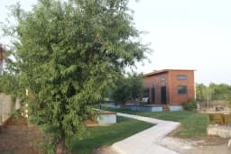 Olive -OrangeBungolow evleri