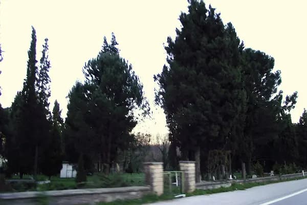 Kurtköy Mezarlığı - Mezarlık - Sakarya Adapazarı