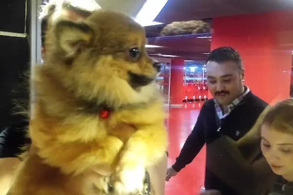 Happy pets petshop - Evcil hayvan mağazası - İstanbul Bağcılar