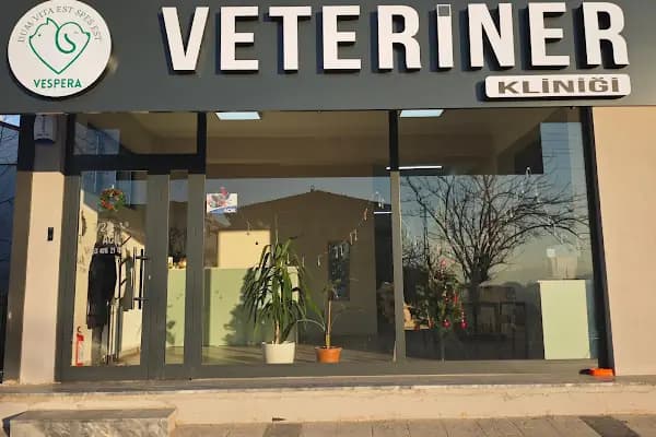 Vespera Veteriner Kliniği - Veteriner - Kocaeli Başiskele