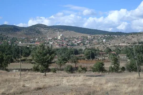 Küçükşapçı Köyü Mezarlığı - Mezarlık - Balıkesir Havran