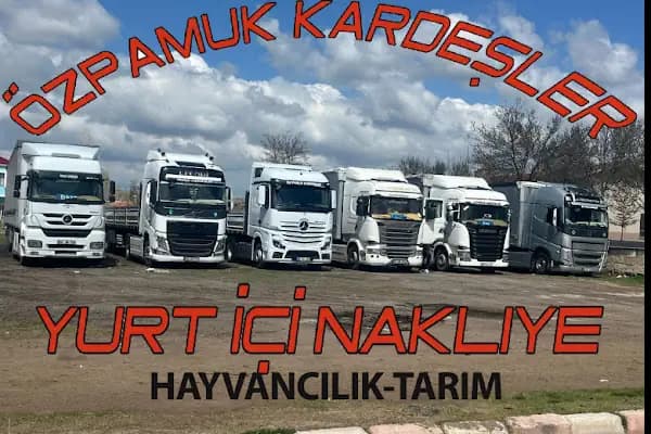 ÖZ PAMUK KARDEŞLER NAKLİYAT TARIM VE HAYVANCILIK - Nakliyeci - İstanbul Başakşehir