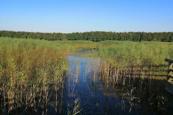 Danamandıra Tabiat Parkı - Milli Park - İstanbul Silivri