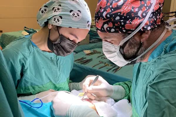 Dr. Öğr. Üyesi Türker Karancı, Beyin Ve Sinir Cerrahisi - Beyin ve Sinir Cerrahı - İstanbul Ataşehir