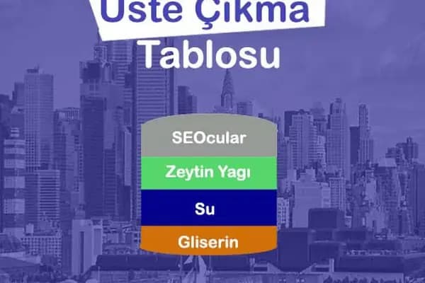 Seocu Kız - Web Sitesi Tasarımcısı - İstanbul Zeytinburnu